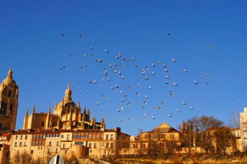 西班牙购房移民政策解析