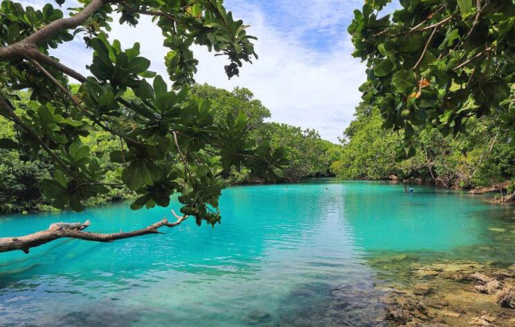 瓦努阿图护照移民