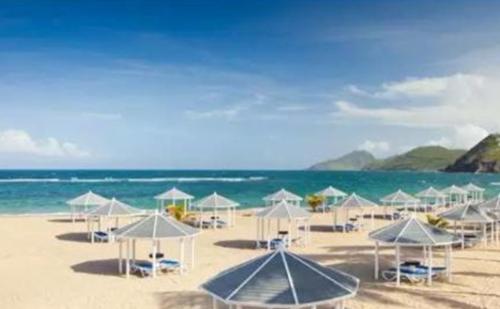 圣基茨移民项目